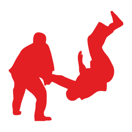Tagdíj judo