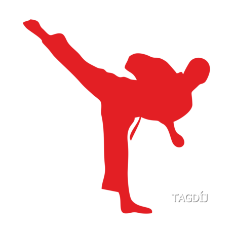 Tagdíj karate