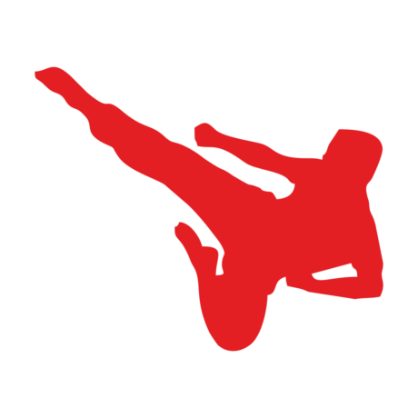 Tagdíj taekwondo 8000